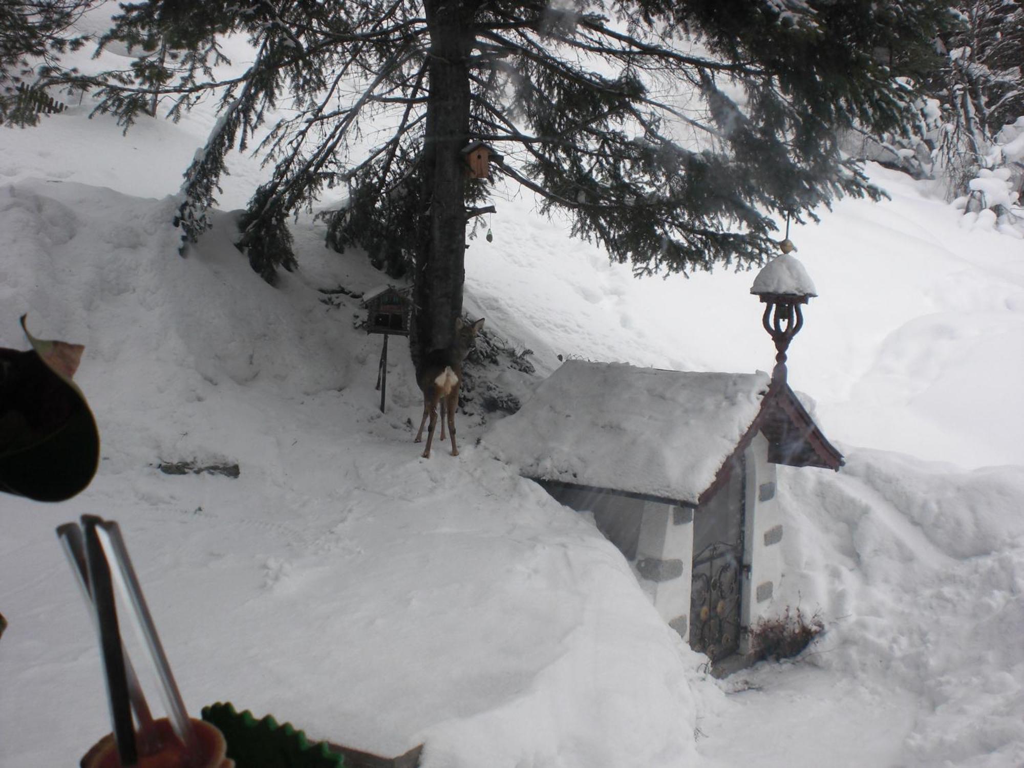 Haus Waldheim Sankt Leonhard im Pitztal Exterior foto